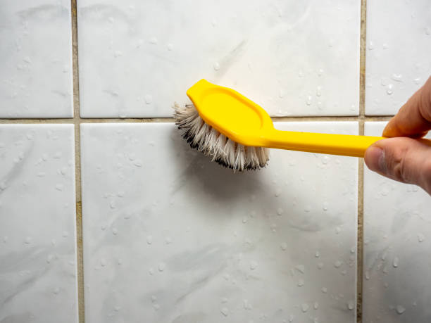 Best Commercial Mold Removal  in Comanche, OK