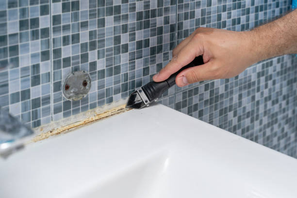 Best Fast Mold Removal  in Comanche, OK
