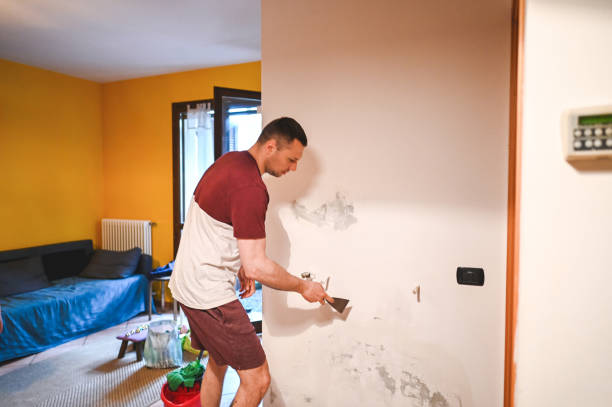 Best Same-Day Mold Removal  in Comanche, OK
